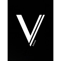 Vision Solutions logo - Similar company to Al Saida Trading