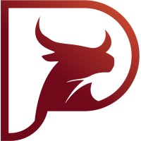 Practibull Investment services LLP logo - Similar company to Allphase Development