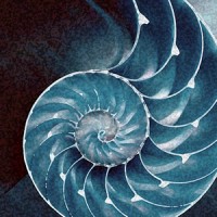 Agape Tile LLC logo - Similar company to American Tile &  Marble Design