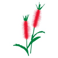 Australiana Botanicals Inc