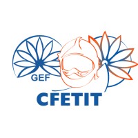 CFETIT logo - Similar company to Sftrf - Société Française Du Tunnel Routier Du Fréjus