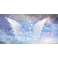 Angels that Care Limited logo - Similar company to Green Dot Technology