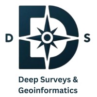 Deep Surveys logo - Similar company to Alyson Consulting
