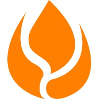 Allinova B.V. logo - Similar company to Ecostar Bv