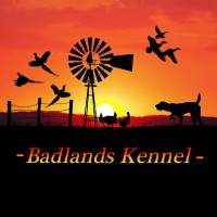 Badlands Kennel logo - Similar company to R.E.D.D.