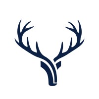 Blue Deer Capital logo - Similar company to Roic Analytics