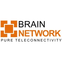 BrainNetwork SA logo - Similar company to Trigon Ag, Perfekt Vernetzt