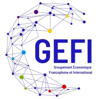 GEFI - Groupement Économique Francophone et International logo - Similar company to Projecton Pc