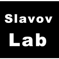 Slavov Lab logo - Similar company to Parallel Squared Technology Institute