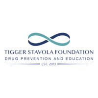 Tigger Stavola Foundation logo - Similar company to Deelport Advisors