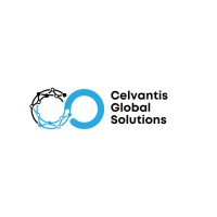 Celvantis Global Solutions Pvt Ltd logo - Similar company to Vinyas Electronics