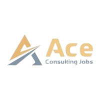 ACE Consulting Jobs logo - Similar company to Allective