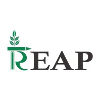 REAP CHILD EDUCATION | NGO logo - Similar company to Stemcluster Labs