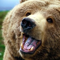 Ursack- Ultra Strong Bear Resistant Food Bags