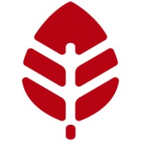 Red Leaf Media