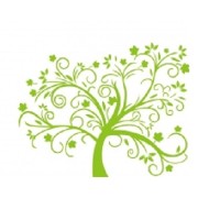 Willow Creek Billing and Coding logo - Similar company to Uber Smog