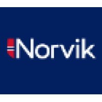 Norvik Banka logo - Similar company to Roamer