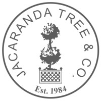 Jacaranda Tree & Co. logo - Similar company to Chiang Mai