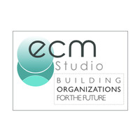 ECM Studio logo - Similar company to Interim Project Manager