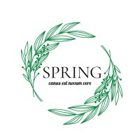 SPRING logo - Similar company to Minerva