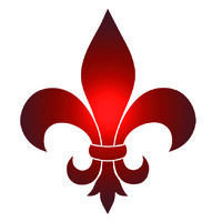 VADO Security Technologies logo - Similar company to Secaudit