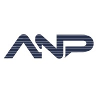 ANP Consulting logo - Similar company to Virtual Computer Operator