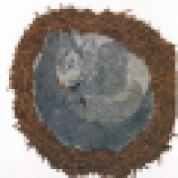 The Squirrel's Nest
