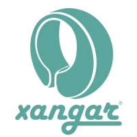 Xangar logo - Similar company to Xangamlabs (Formerly Xangars Labs)