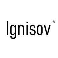 Ignisov Global LLC logo - Similar company to Infinity Technologies Inc