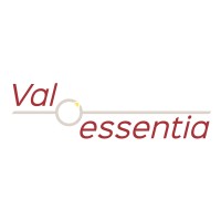 VALESSENTIA logo - Similar company to Ics Informatique