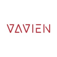 Vavien Digital Solutions logo - Similar company to Digit Information Technologies