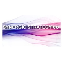 Synergic Strategy Co logo - Similar company to Fournines