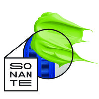 Sonante Incorporadora logo - Similar company to Baochi Incorporadora