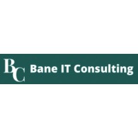 Bane IT Consulting logo - Similar company to National Land Developers, Llc