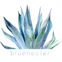 bluenectar logo - Similar company to Book My Flight