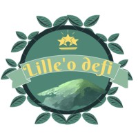 Lille'o Défi logo - Similar company to Future Amp - Careers Start Here.