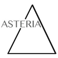 Asteria Consulting LLC logo - Similar company to Asteria Consulting Solutions