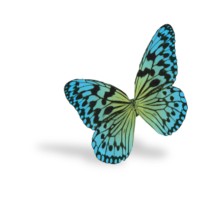CADDRA - Canadian ADHD Resource Alliance logo - Similar company to Eunethydis (European Network For Adhd)