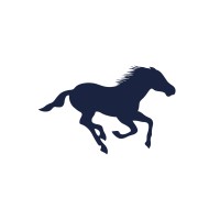 Alzayani Investments logo - Similar company to Bukhamseen Holding