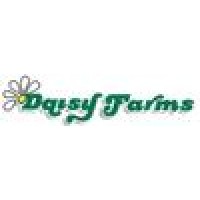 Daisy farms
