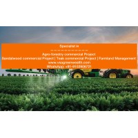 Vatican Shona Agrotech Pvt.Ltd. logo - Similar company to Vatican Group