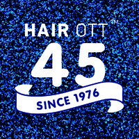 Hair Ott logo - Similar company to Benjamin Ott Consulting