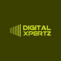 Digital Xpertz logo - Similar company to Border Advisors