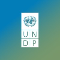 UNDP Africa logo - Similar company to African Futures