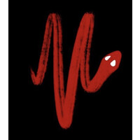 Virgo Fund logo - Similar company to Doralab