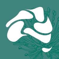 Threatened Species Recovery Hub logo - Similar company to Rejuvenationtrees