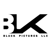 BLK PICTURES GROUP logo - Similar company to Dubandi.Media