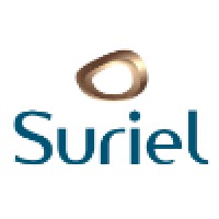 Suriel Marketing - Gestão de Marcas logo - Similar company to Wallabe