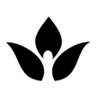 P. Burlaud Consulting, LLC