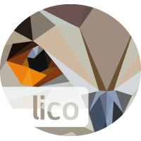 LICO Innovations logo - Similar company to Plug In Useful